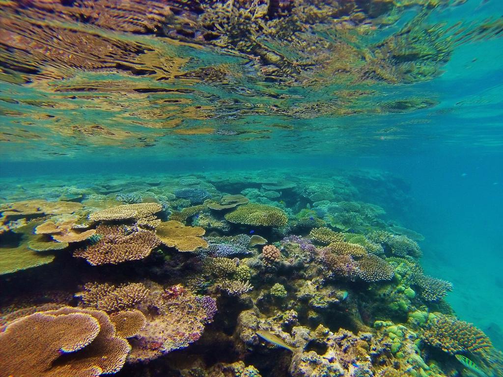 Mai Dive' Astrolabe Reef Resort Naqara Exterior photo