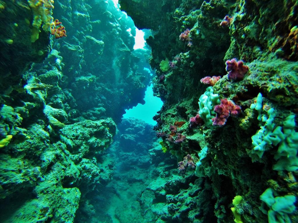 Mai Dive' Astrolabe Reef Resort Naqara Exterior photo