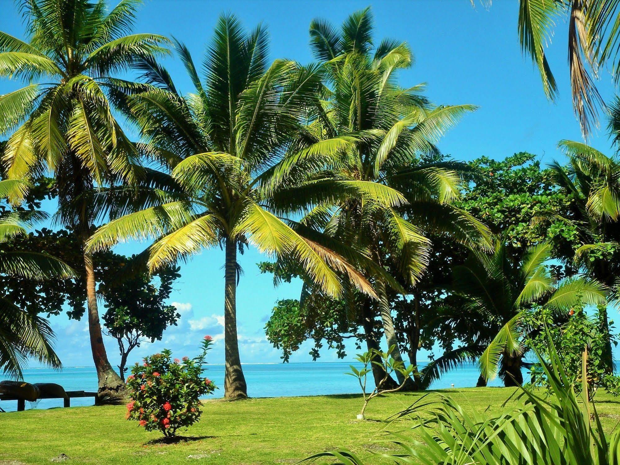 Mai Dive' Astrolabe Reef Resort Naqara Exterior photo
